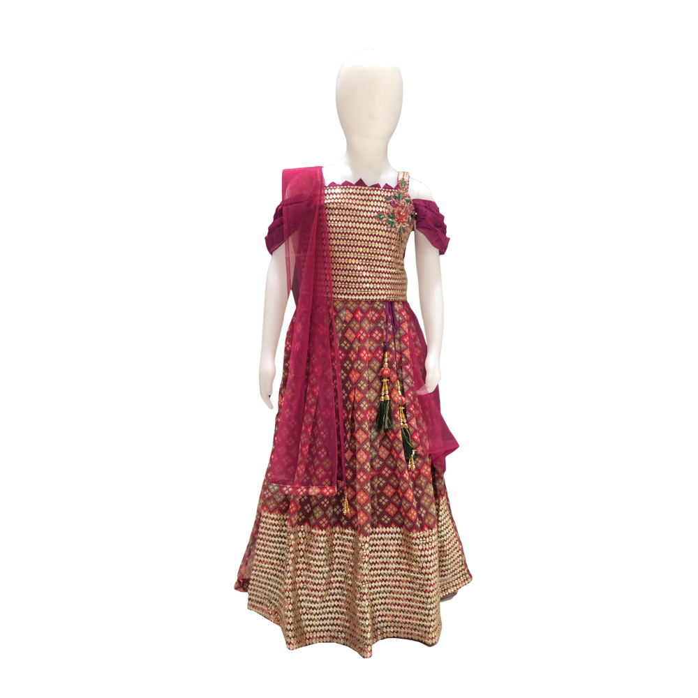 KAIRA GIRLS CHOLI SUIT HTS