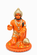 HANUMAN JI IDOL