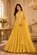 ZARA LADIES GOWN 